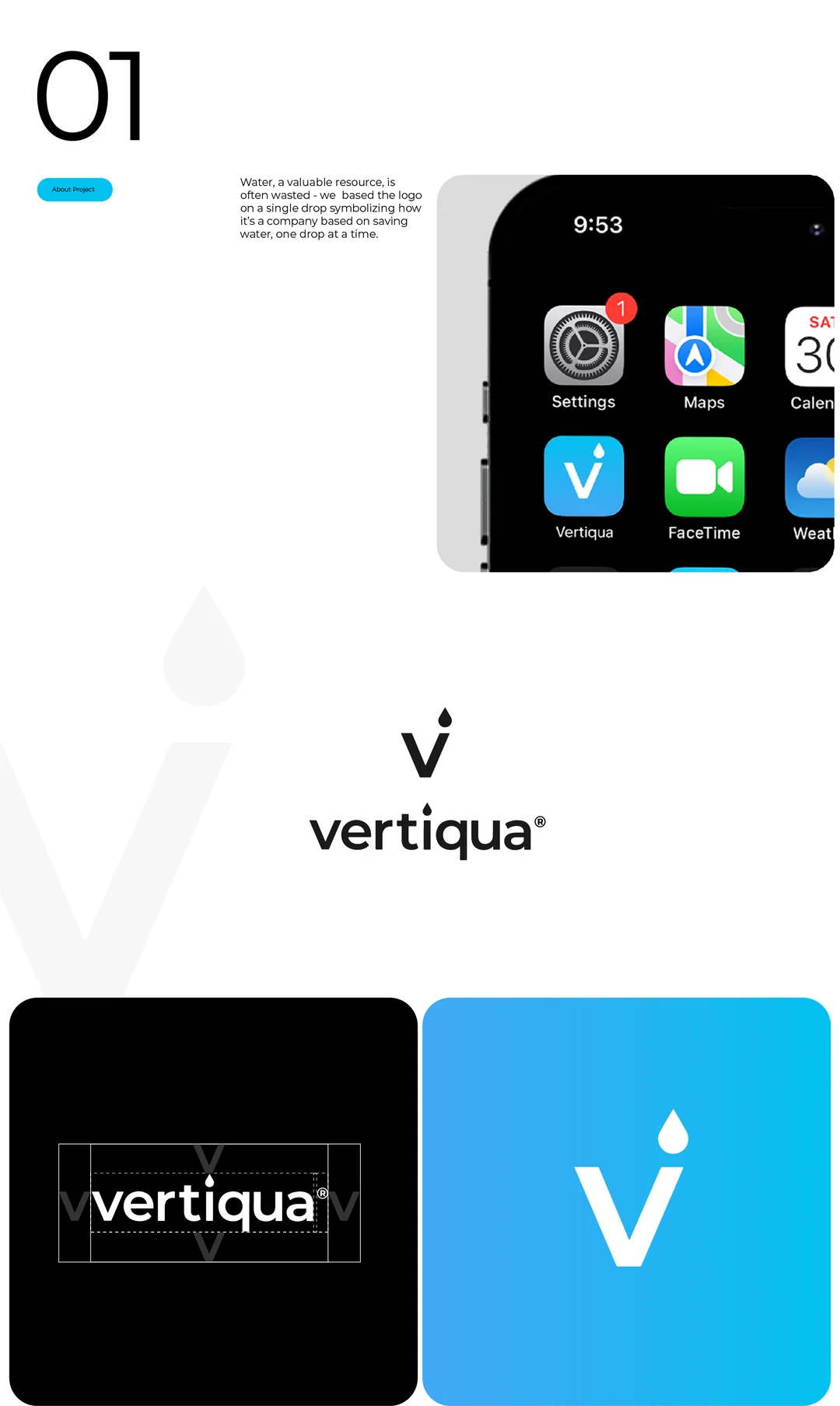 01 Logo: the Vertiqua app icon on a phone home screen, the wordmark, and the logo on black and on blue.